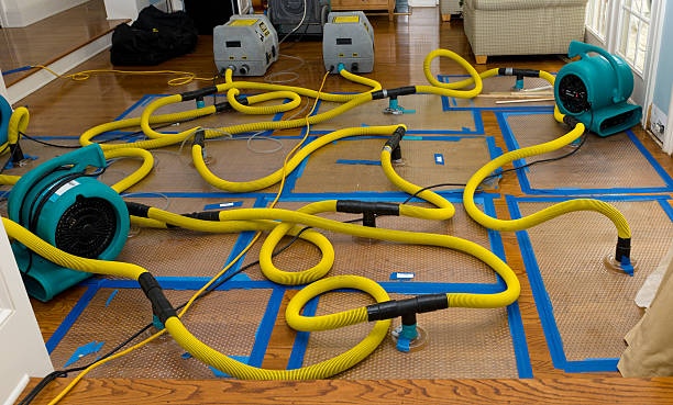 Professional Water Extraction technician working in Ohatchee, AL